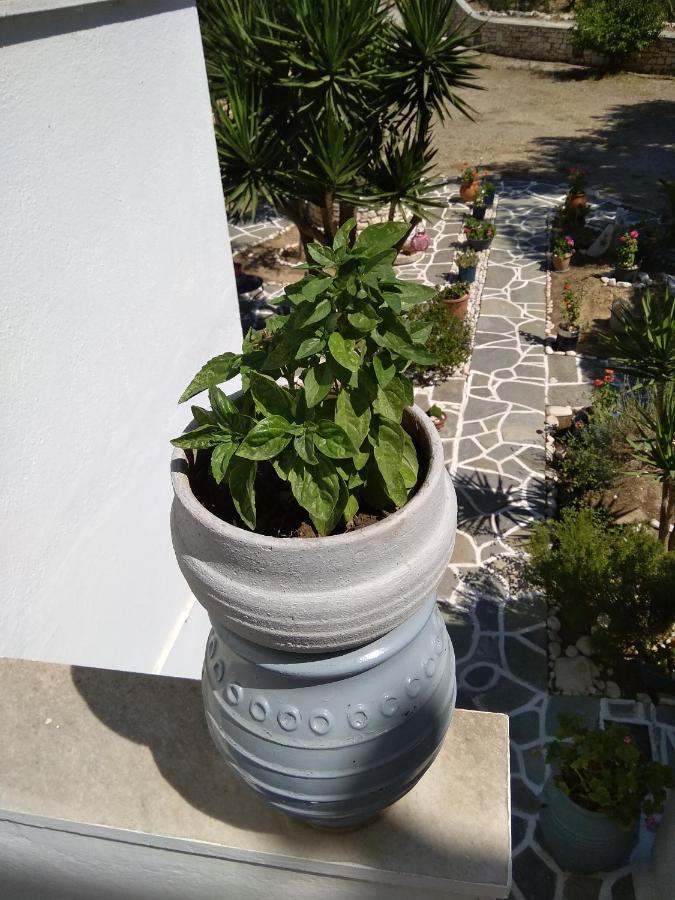 Kiki'S Apartment Veranda Dream คริสซี อัคติ ภายนอก รูปภาพ